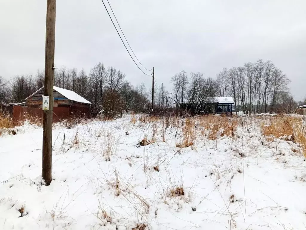 Участок в Ленинградская область, Выборгский район, Красносельское ... - Фото 2