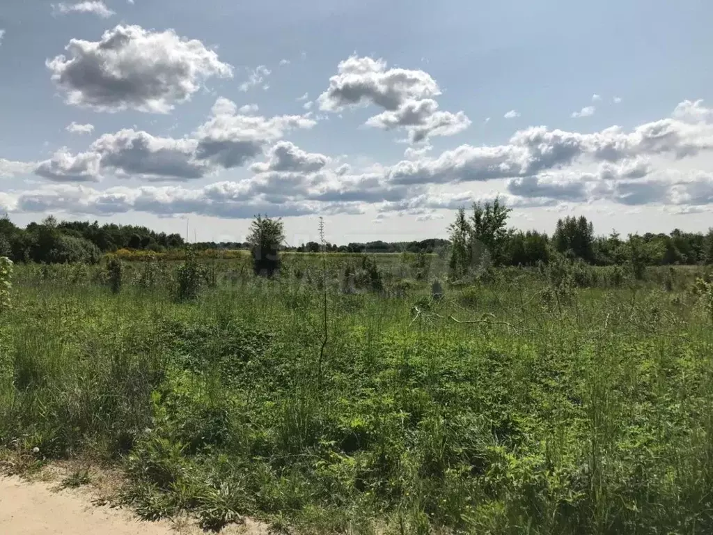 Участок в Калининградская область, Багратионовский муниципальный ... - Фото 1