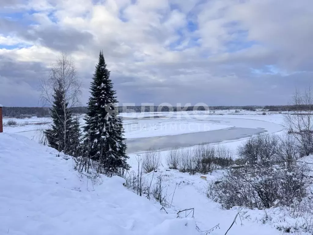 Участок в Пермский край, Березники муниципальный округ, д. Кондас ул. ... - Фото 2