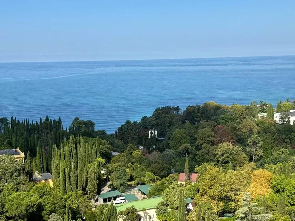 3-к кв. Краснодарский край, Сочи Виноградная ул., 4 (72.8 м) - Фото 1