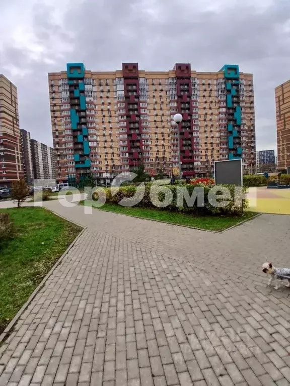 1-к кв. Московская область, Ленинский городской округ, Мисайлово пгт, ... - Фото 2