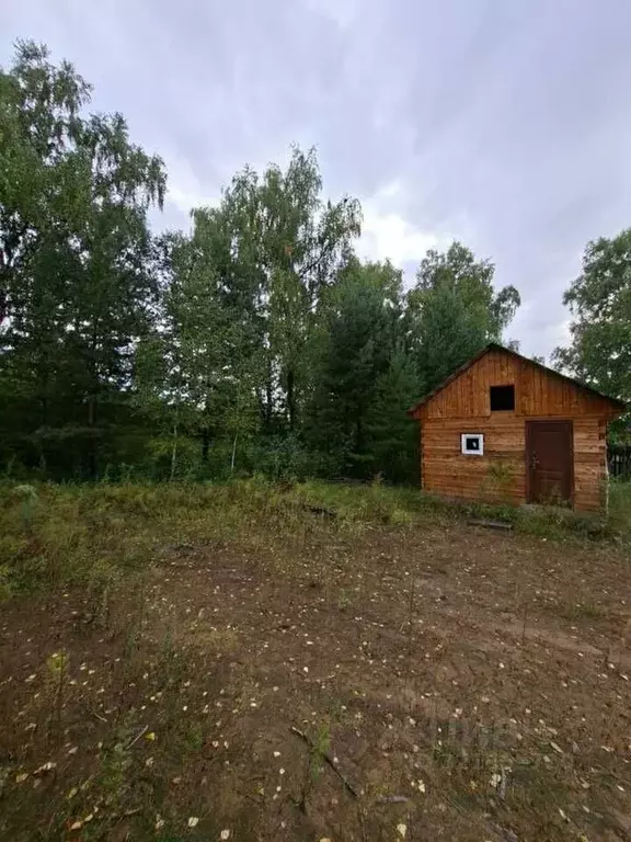 Дом в Хакасия, Алтайский район, с. Подсинее Минусинская ул. (31 м) - Фото 1