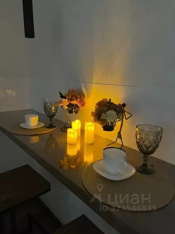 Студия Алтайский край, Барнаул тракт Павловский, 60Бк1 (26.0 м) - Фото 2