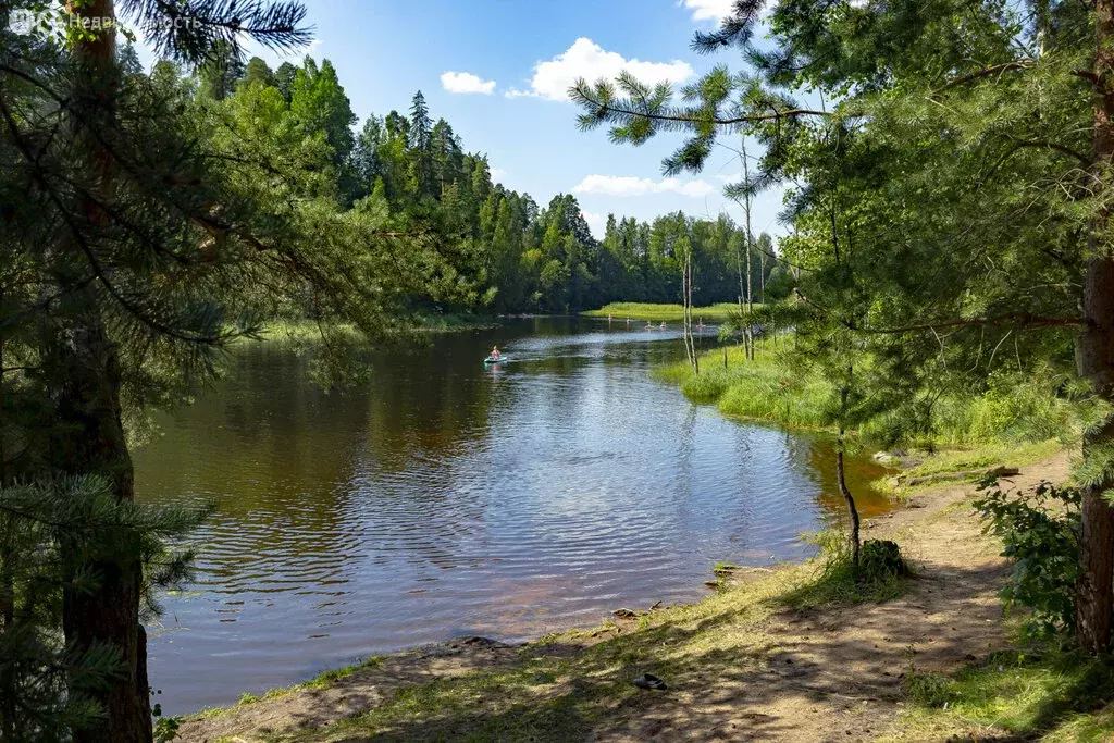 2-комнатная квартира: деревня Белогорка, Институтская улица, 16 (53.5 ... - Фото 1