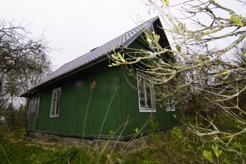 Участок в Ленинградская область, Кировский район, Мгинское городское ... - Фото 1