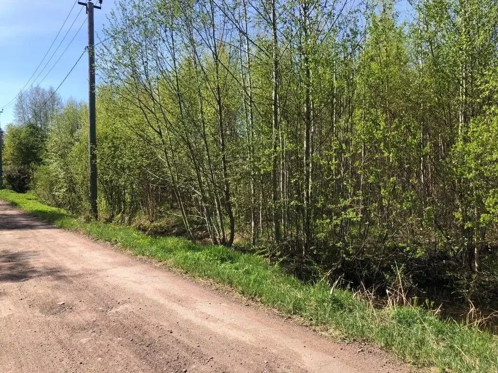 Участок в Ленинградская область, Выборгский район, Советское городское ... - Фото 0