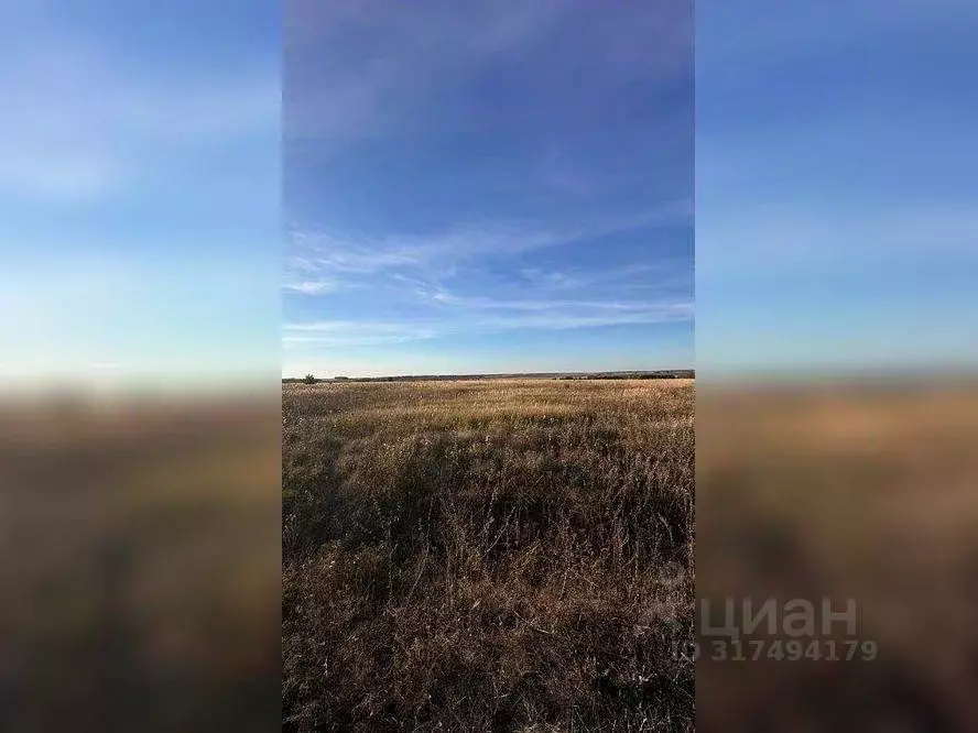 Участок в Московская область, Серебряные Пруды пгт ул. Советская ... - Фото 1