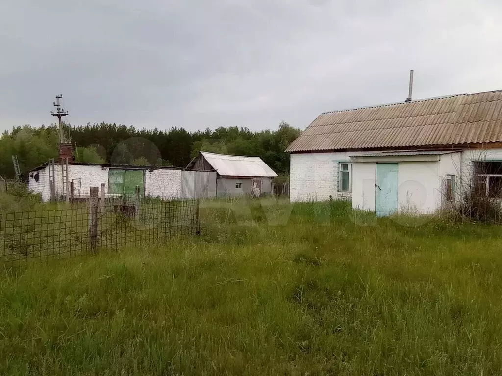 Участок 10 сот. (СНТ, ДНП) - Фото 1