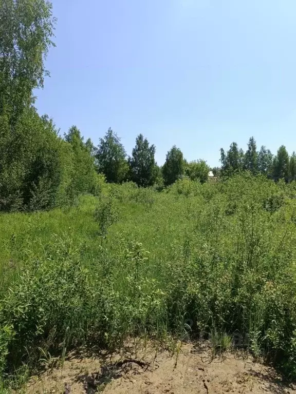 Участок в Нижегородская область, Бор городской округ, д. Овечкино ул. ... - Фото 0