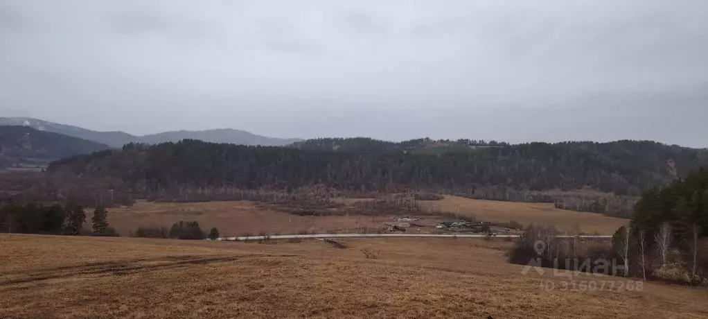 Участок в Алтай, Майминский район, с. Кызыл-Озек  (10.0 сот.) - Фото 2