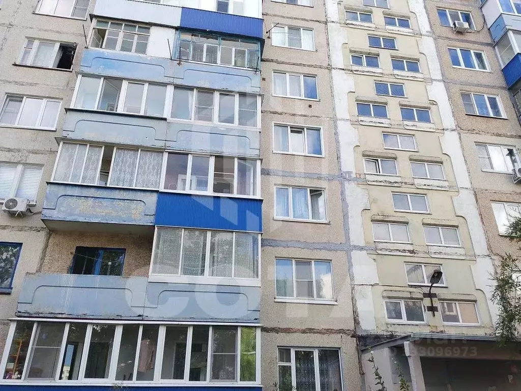 1-к кв. Липецкая область, Елец ул. Коммунаров, 129 (35.0 м) - Фото 1