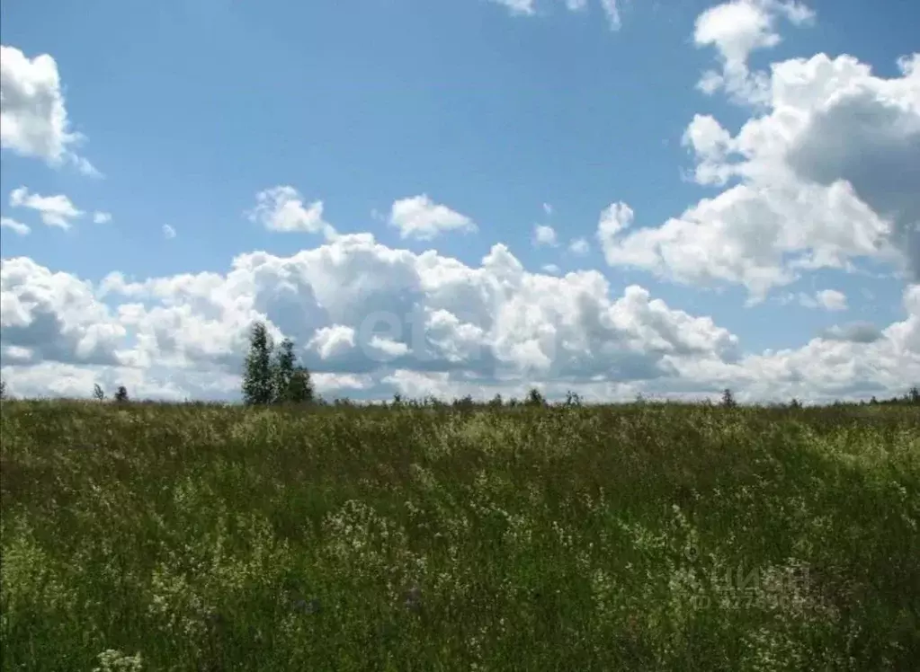 Участок в Калужская область, Калуга Московская ул. (12681.91 сот.) - Фото 2