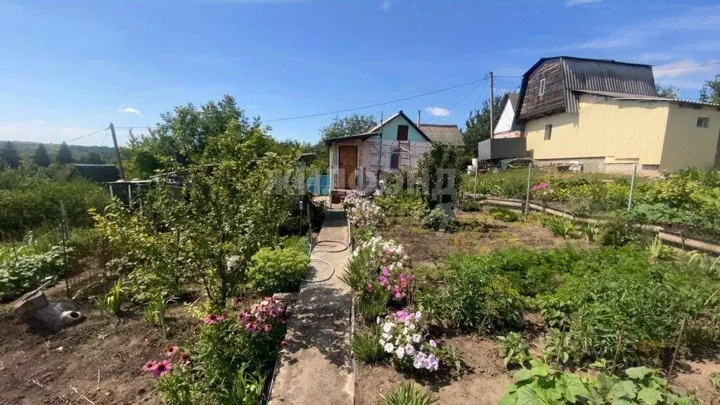 Дом в Белгородская область, Яковлевский городской округ, с. Шопино ... - Фото 0