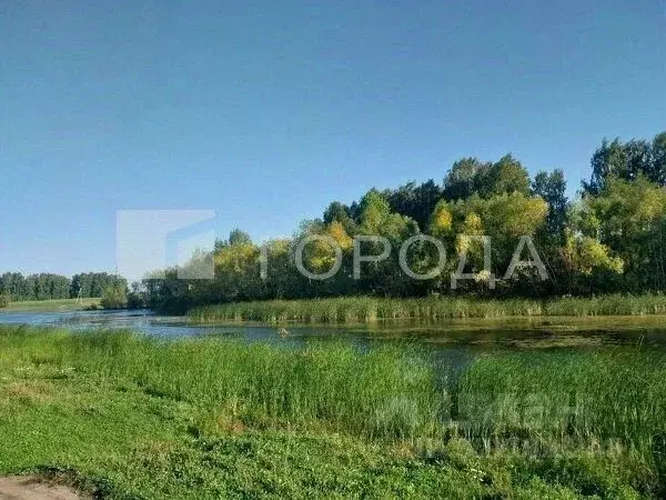 Участок в Новосибирская область, Новосибирский район, Морской ... - Фото 1