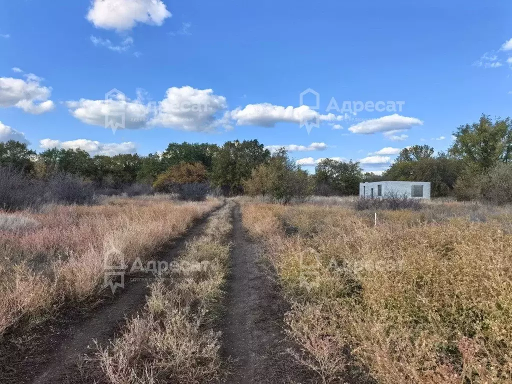 Участок в Волгоградская область, Краснослободск Среднеахтубинский ... - Фото 1