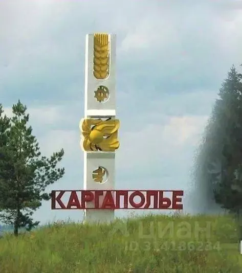 Участок в Курганская область, Каргаполье рп  (13.0 сот.) - Фото 1