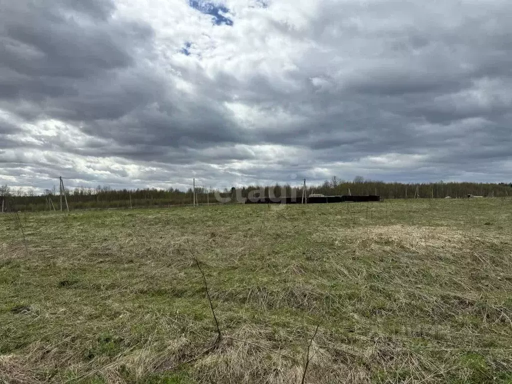 Участок в Калужская область, Калуга городской округ, д. Уварово  (12.1 ... - Фото 2