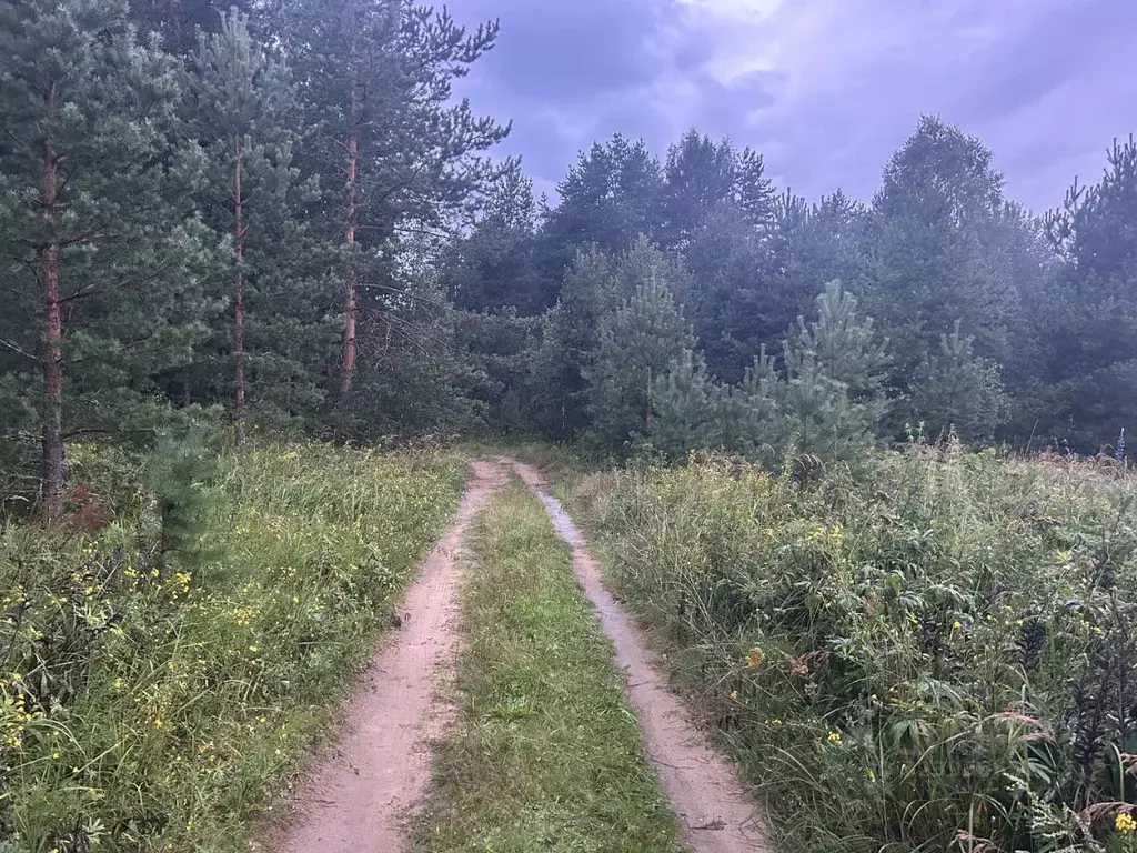 Участок в Владимирская область, Александровский муниципальный округ, ... - Фото 0