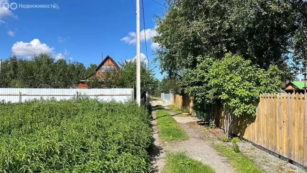 Участок в Тюмень, СНТ Тополя-3 (5.8 м) - Фото 0