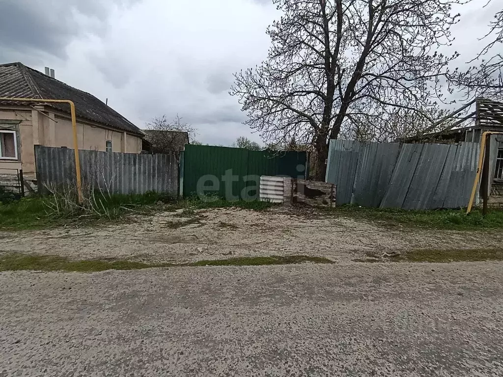 Участок в Белгородская область, Чернянский район, Русскохаланское ... - Фото 2