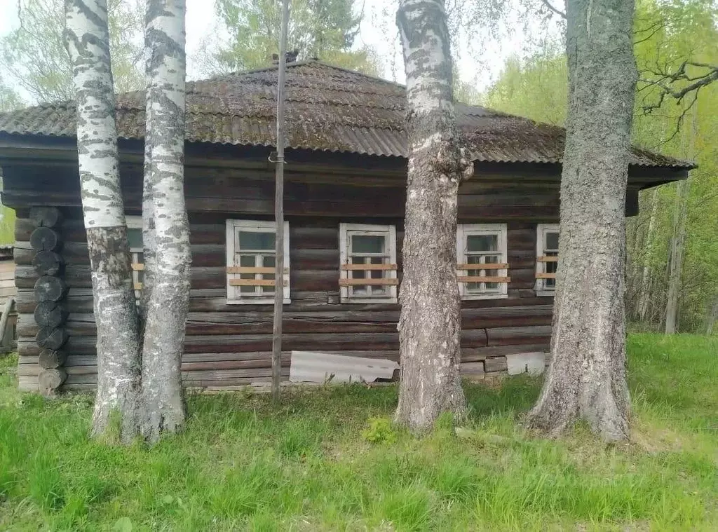 Дом в Вологодская область, Сокольский муниципальный округ, д. Бильново ... - Фото 0