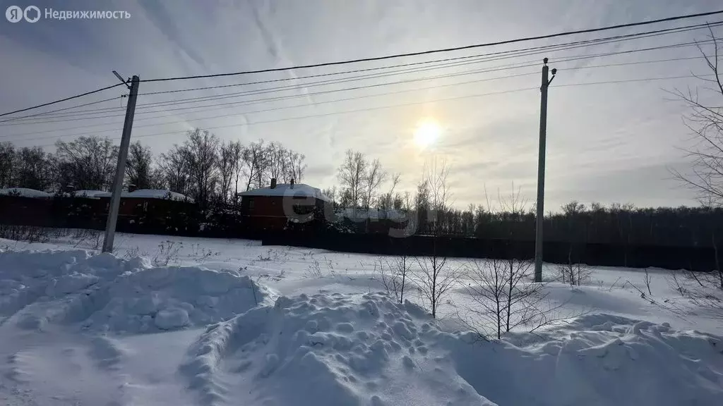 Участок в Московская область, Раменский муниципальный округ, КП Долина ... - Фото 2