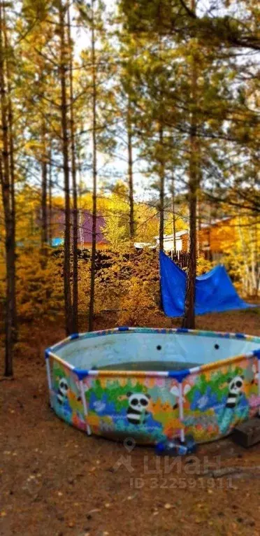 Дом в Саха (Якутия), Якутск городской округ, с. Владимировка ул. ... - Фото 2