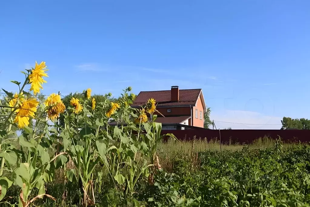 Участок в Новосибирская область, Новосибирский район, Толмачевский ... - Фото 0