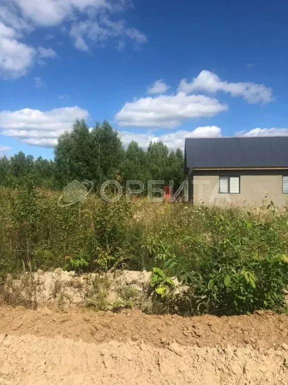 Участок в Тюменская область, с. Нижняя Тавда  (15.0 сот.) - Фото 2