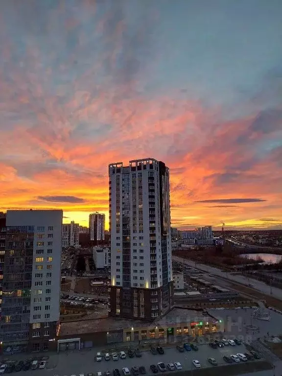 1-к кв. Челябинская область, Челябинск просп. Героя России Е.Н. ... - Фото 2
