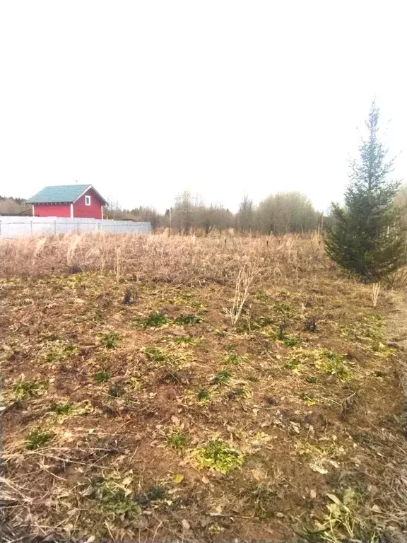 Участок в Пермский край, Пермский муниципальный округ, Подборный кв-л ... - Фото 2