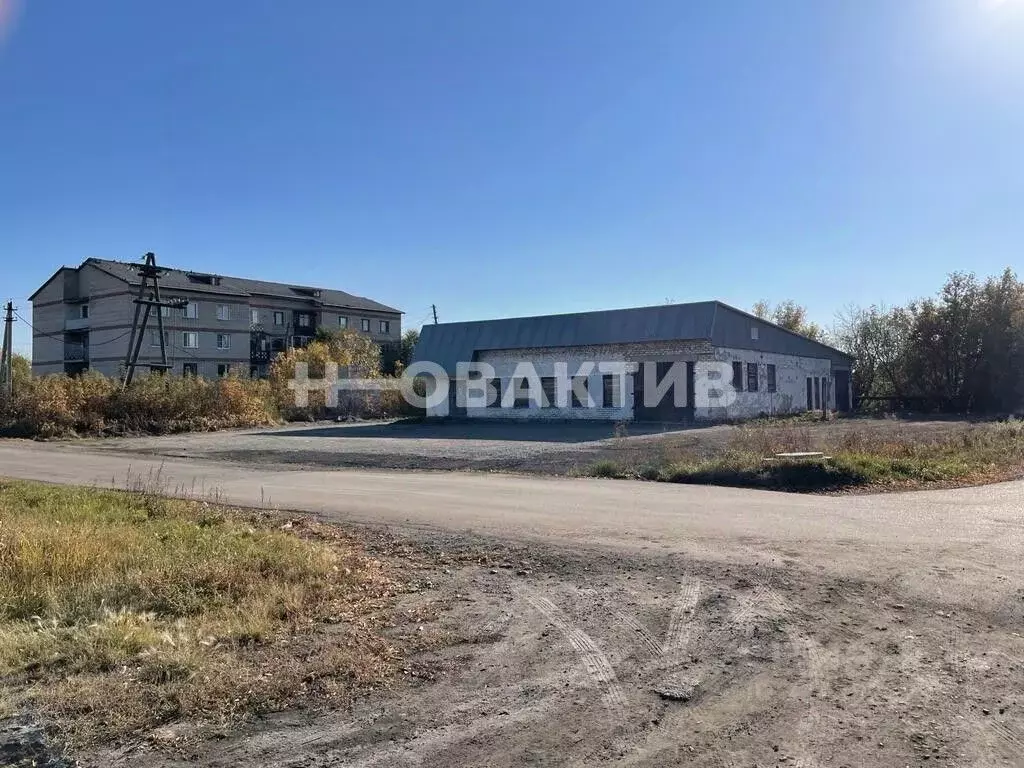 Торговая площадь в Алтайский край, Поспелихинский район, ... - Фото 2