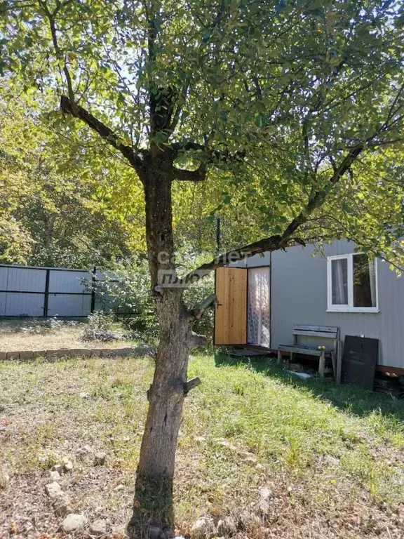 Участок в Краснодарский край, Сочи Здоровье-4 СНТ, 52 (5.0 сот.) - Фото 1