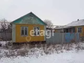 Дом в Белгородская область, Волоконовский район, Пятницкое рп ул. ... - Фото 0