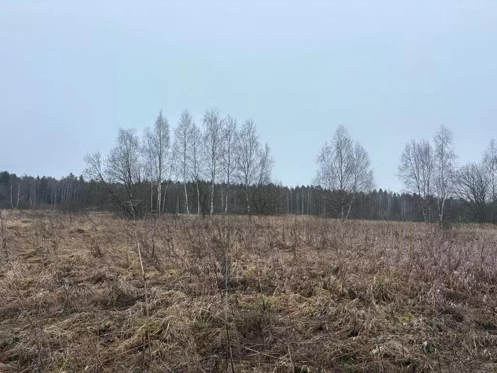 Участок в Московская область, Воскресенск городской округ, д. Бочевино ... - Фото 1