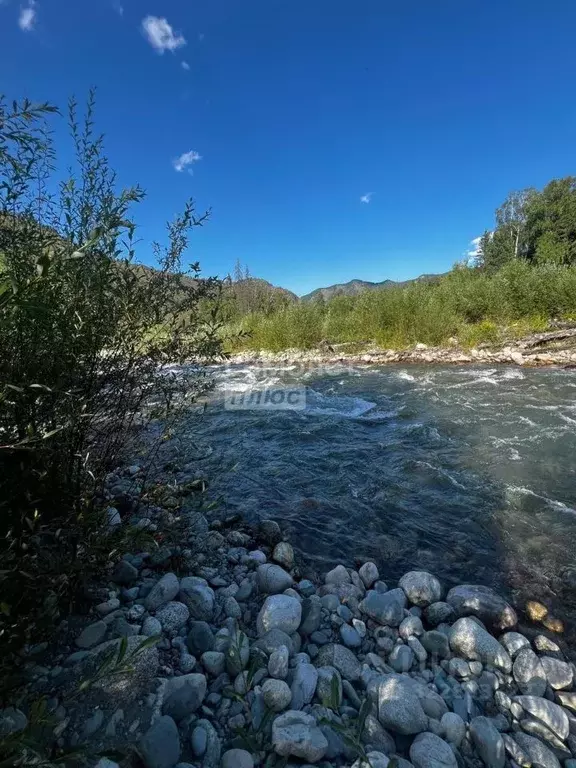 Участок в Алтай, Усть-Коксинский район, с. Мульта Школьная ул. (130.0 ... - Фото 1
