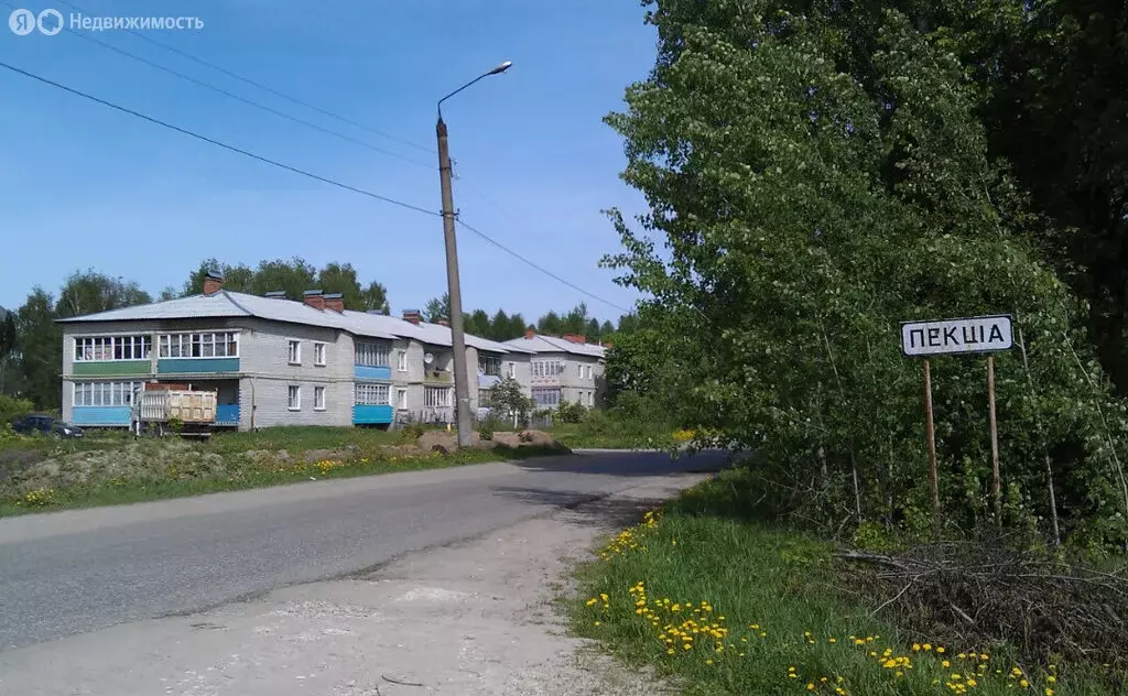 Участок в деревня Пекша, Школьная улица (30 м) - Фото 0
