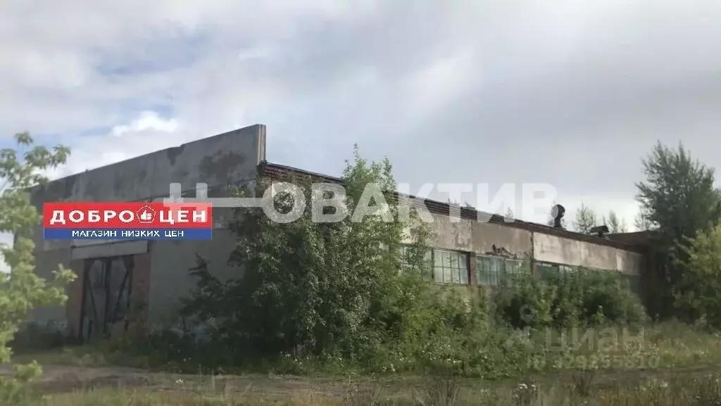 Помещение свободного назначения в Омская область, Горьковское рп ул. ... - Фото 1