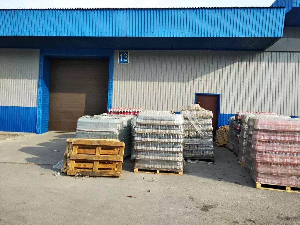 Склад в Новосибирская область, Новосибирск ул. Петухова, 37/2с10 (260 ... - Фото 1