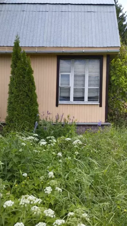 Дом в Московская область, Домодедово Заря СНТ, 9 (62 м) - Фото 2