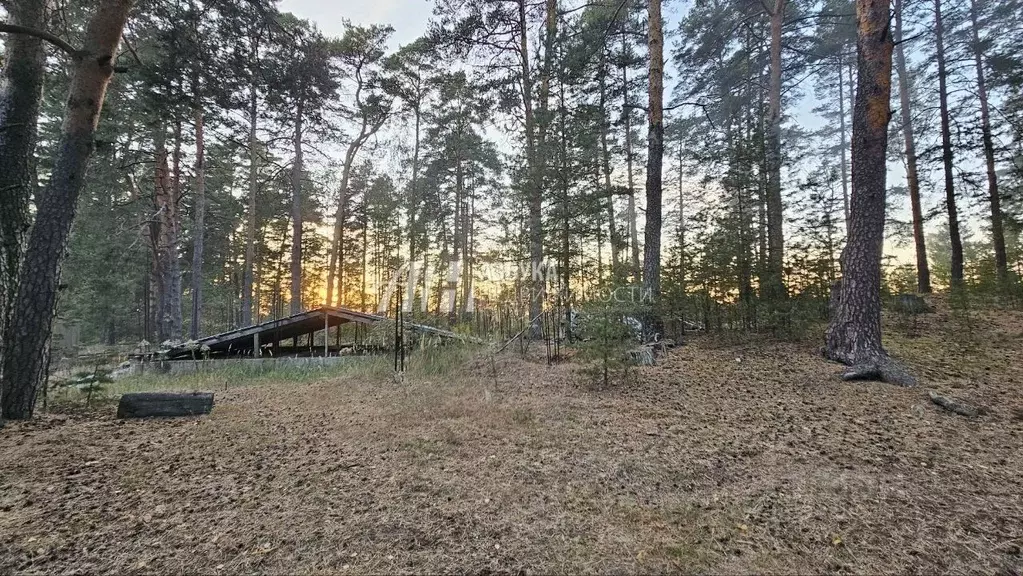 Участок в Московская область, Щелково городской округ, д. Первая ... - Фото 1