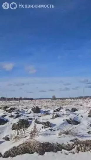 Участок в Ломоносовский район, Лопухинское сельское поселение, деревня ... - Фото 0