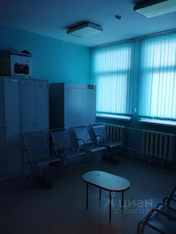 Помещение свободного назначения в Омская область, Марьяновка рп ул. ... - Фото 2