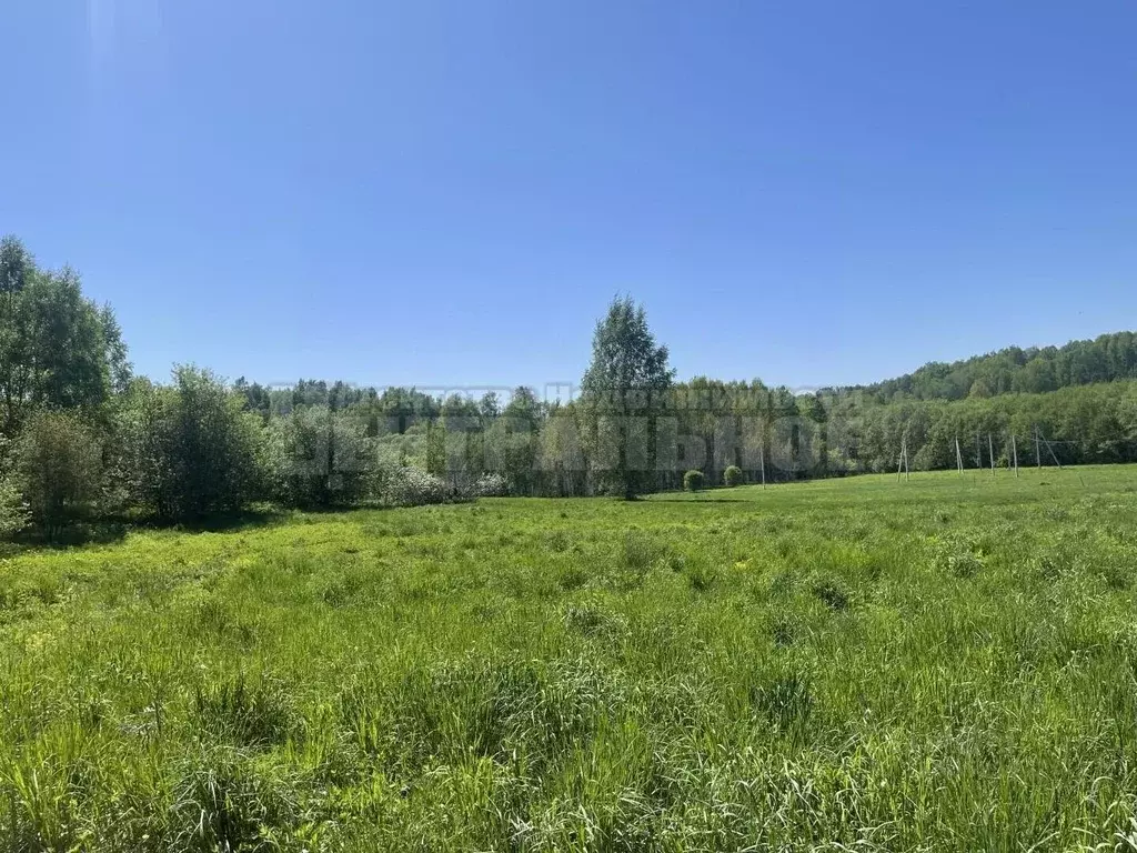 Участок в Смоленская область, Смоленский муниципальный округ, д. ... - Фото 2
