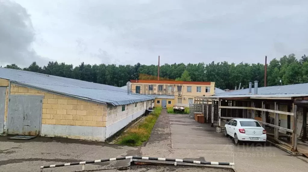 Производственное помещение в Московская область, Наро-Фоминский ... - Фото 1