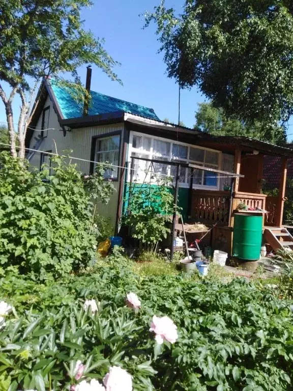 Дом в Камчатский край, Елизовский муниципальный округ, Геолог СНТ  (35 ... - Фото 2