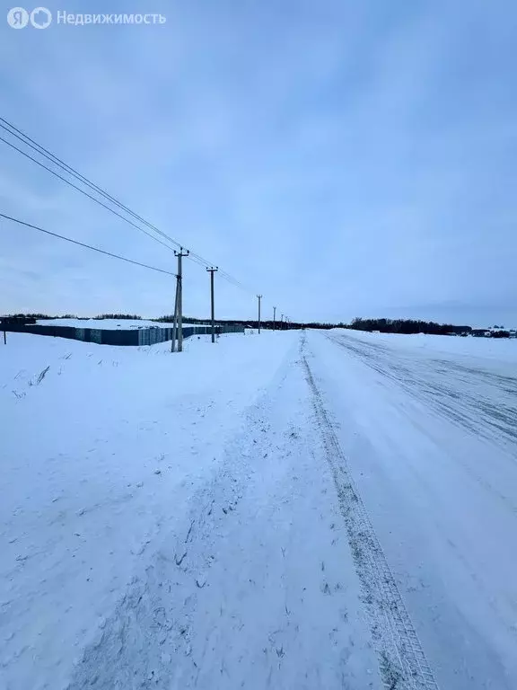 Участок в Янга-Салское сельское поселение, деревня Каенсар (20 м) - Фото 2