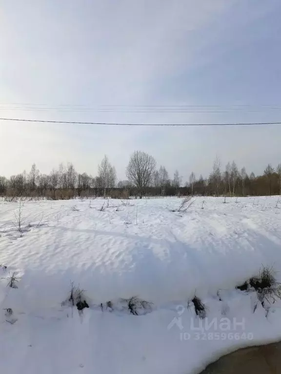 Участок в Московская область, Талдомский городской округ, д. Арефьево ... - Фото 2