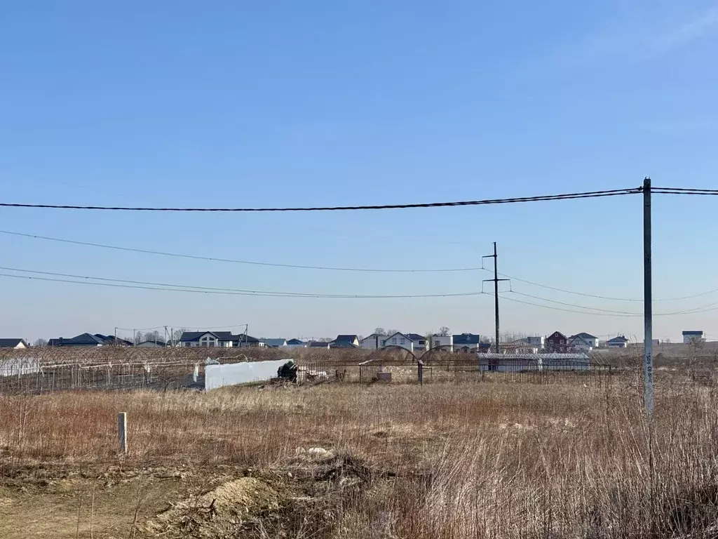 Участок в Калининградская область, Гурьевский муниципальный округ, ... - Фото 1