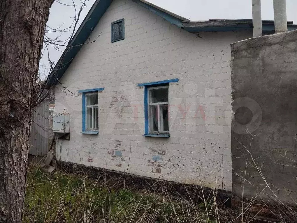 Дом 50 м на участке 50 сот. - Фото 1